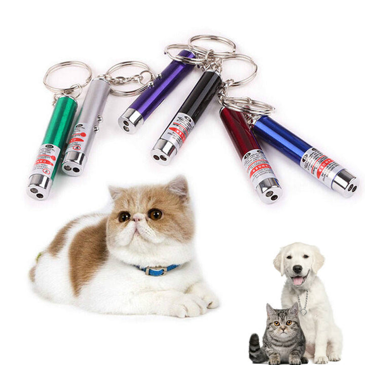 Mini Laser Cat Wand with LED Light and Keychain