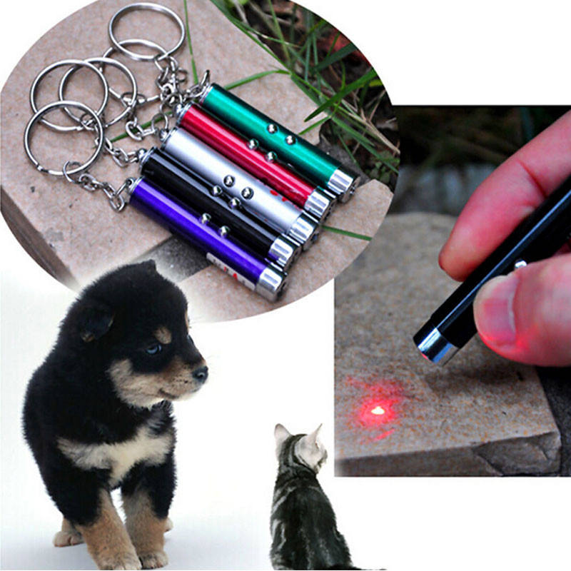 Mini Laser Cat Wand with LED Light and Keychain