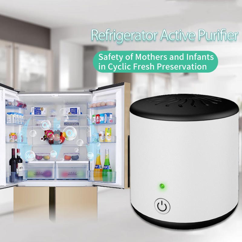 Portable Ozone Odor Eliminator for Fridge, Car & Closet