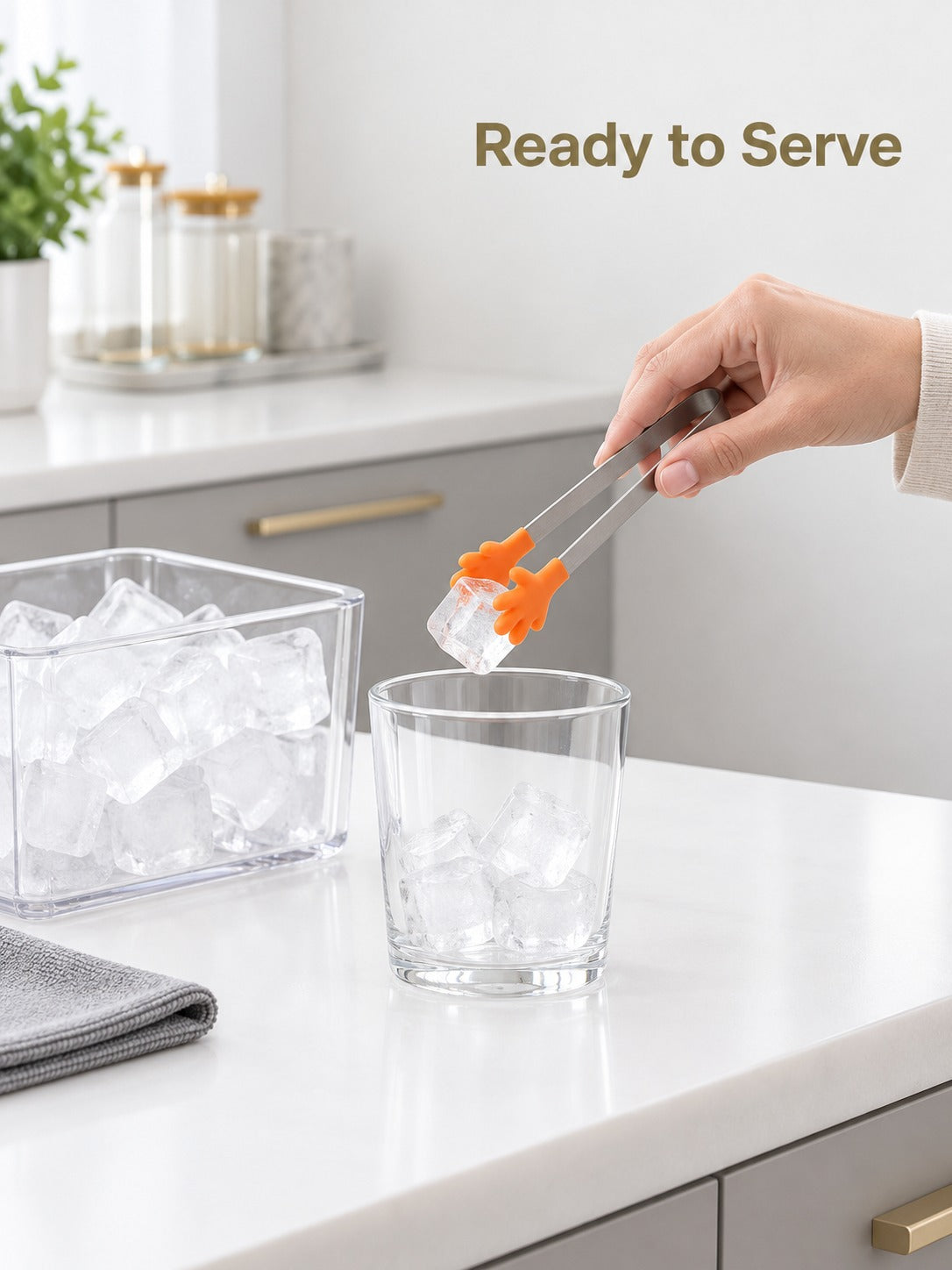 Mini Silicone Ice Tongs, Stainless Steel Food Clips