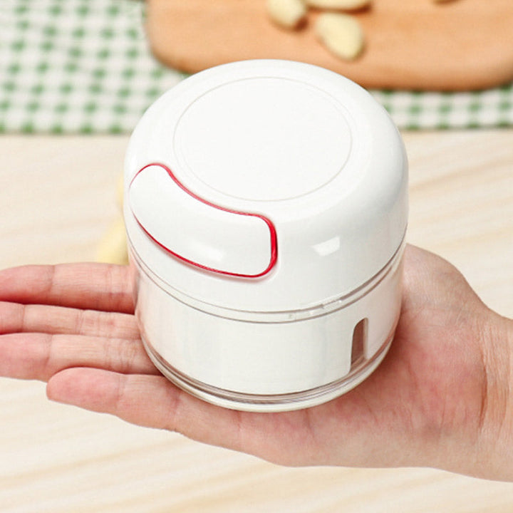 Mini Stainless Steel Garlic Chopper for Quick Daily Prep