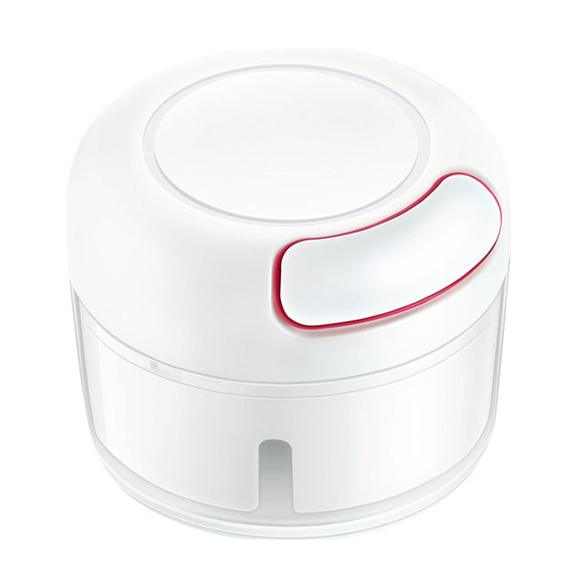 Mini Stainless Steel Garlic Chopper for Quick Daily Prep
