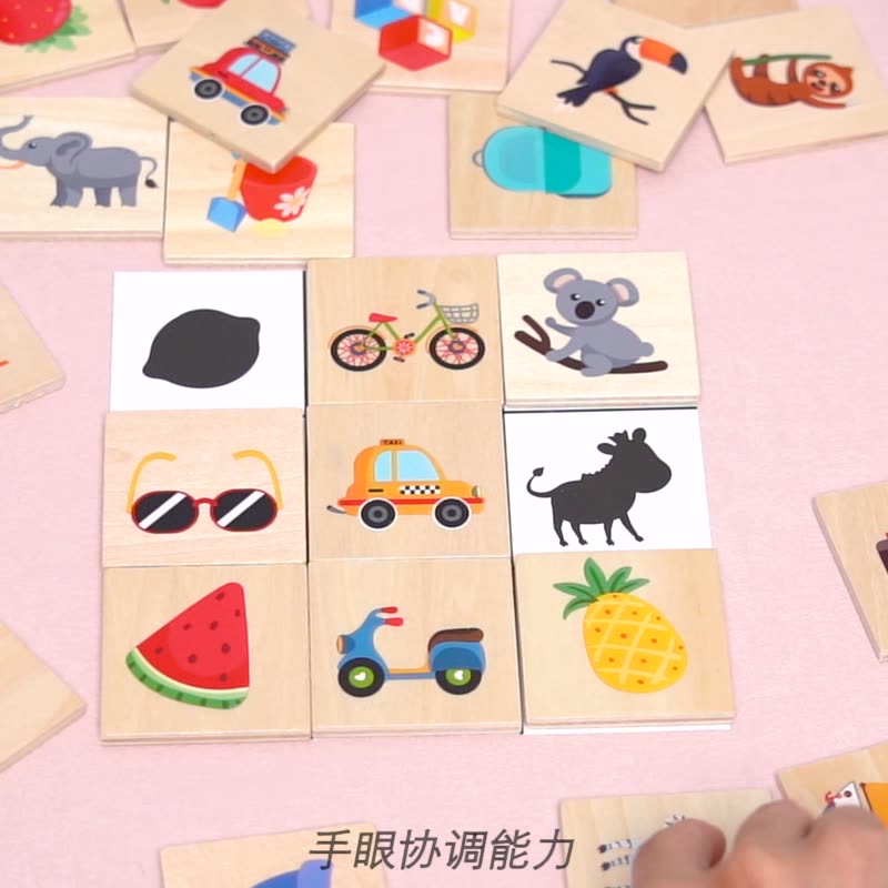Wooden Shadow Matching Puzzle for Preschool Learning