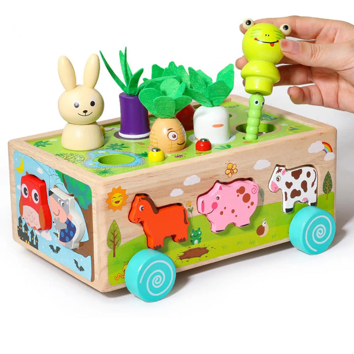 Montessori Wooden Toy Carrot Harvest Game for Preschool