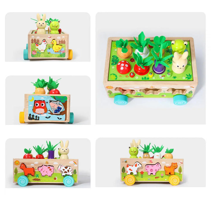 Montessori Wooden Toy Carrot Harvest Game for Preschool