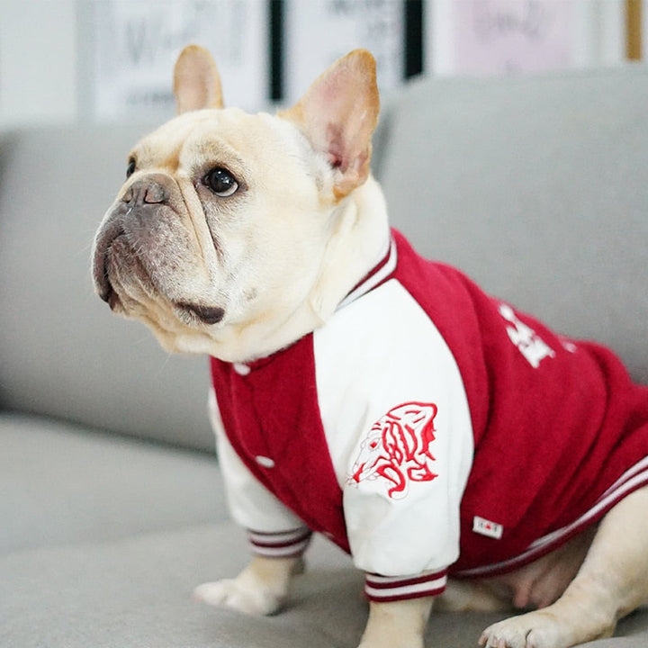 Dog Varsity Vest for Stylish Everyday Walks & Outings