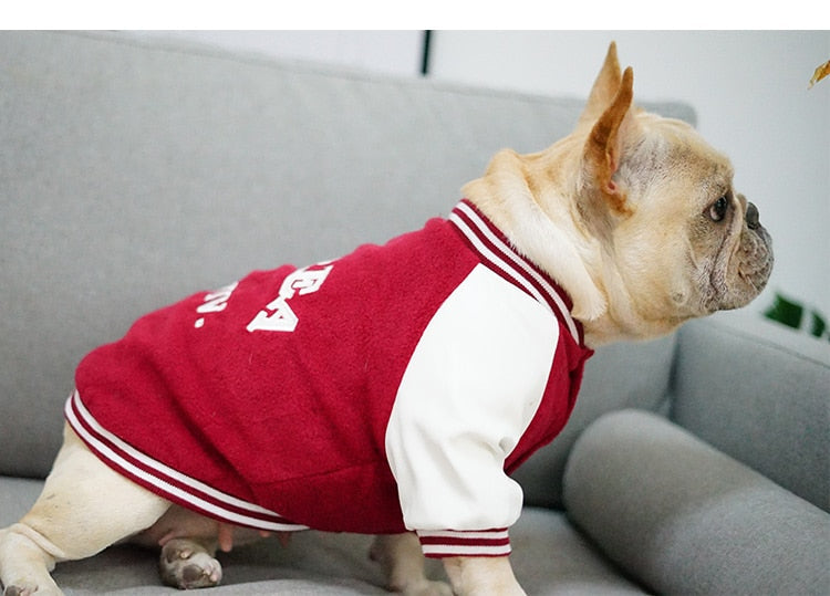 Dog Varsity Vest for Stylish Everyday Walks & Outings