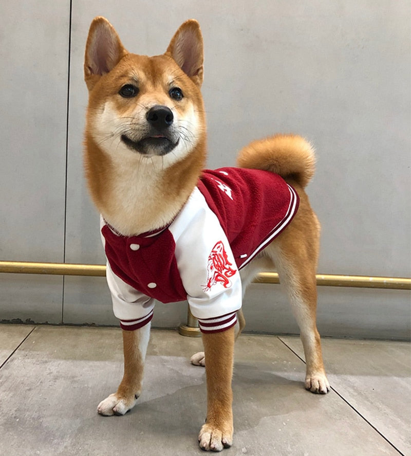 Dog Varsity Vest for Stylish Everyday Walks & Outings