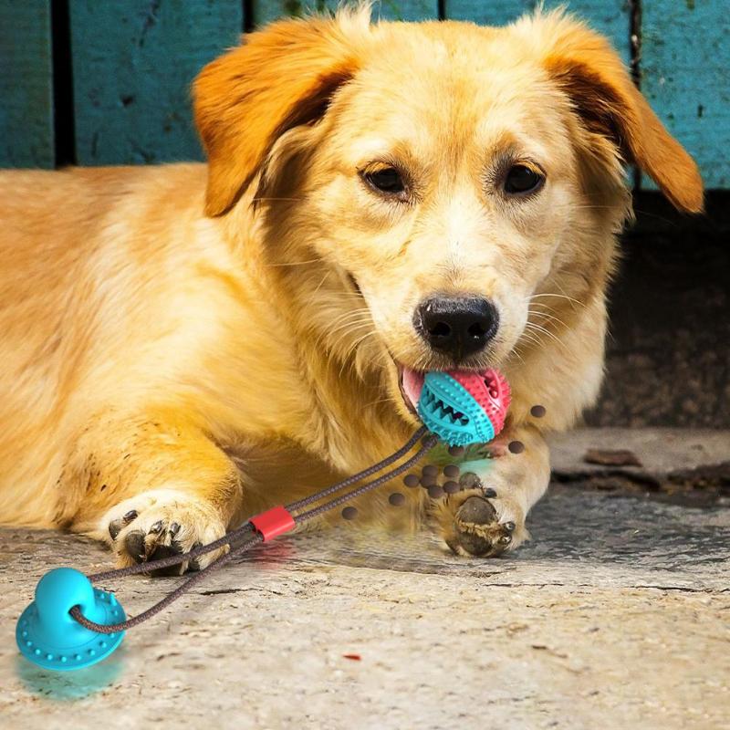 Interactive Dog Chew Ball for Indoor Tug & Enrichment