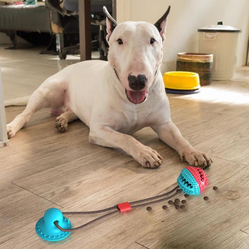 Interactive Dog Chew Ball for Indoor Tug & Enrichment