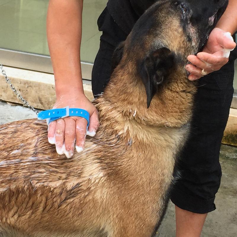 Dog Shower Massager Hose with Wrist Strap, Garden Tap