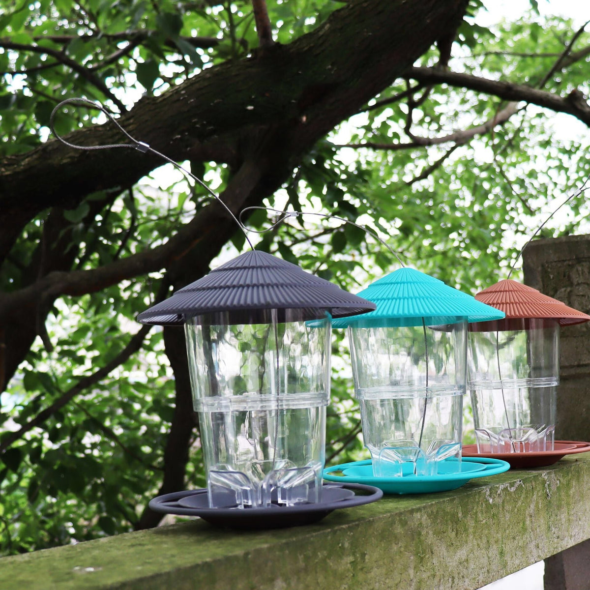 Hanging Bird Feeder for Easy Seed Monitoring Outdoors