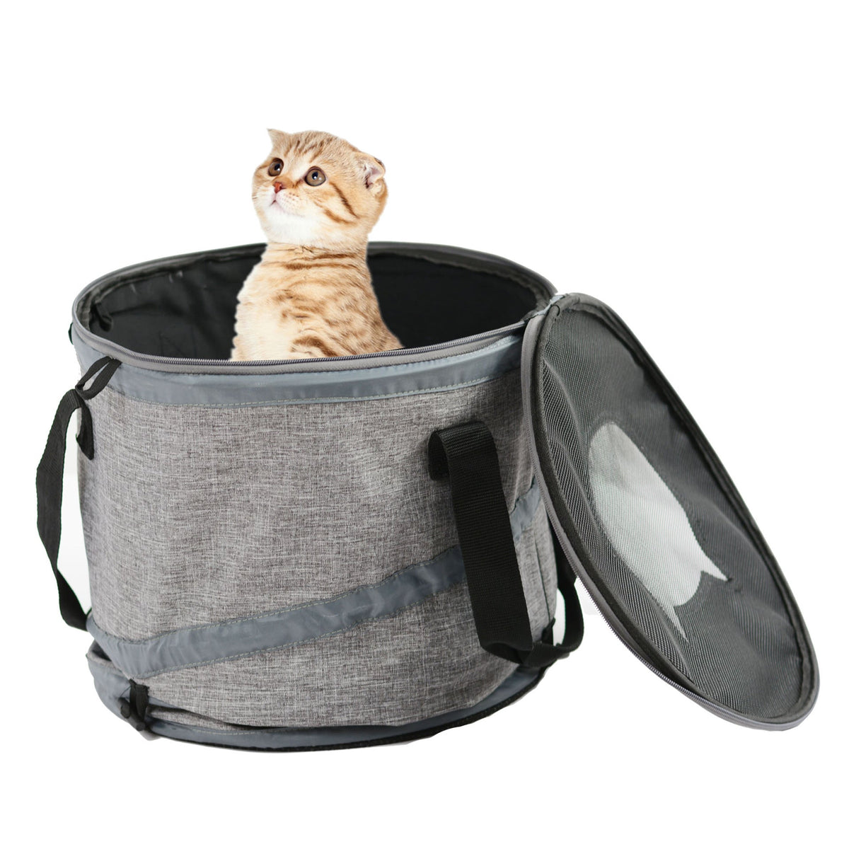 Foldable Cat Carrier Bag for Travel, Rest & Safe Play