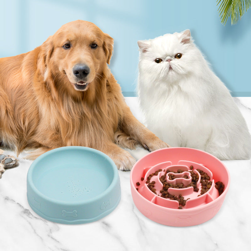 Portable Slow-Feeding Pet Bowl for Food and Water