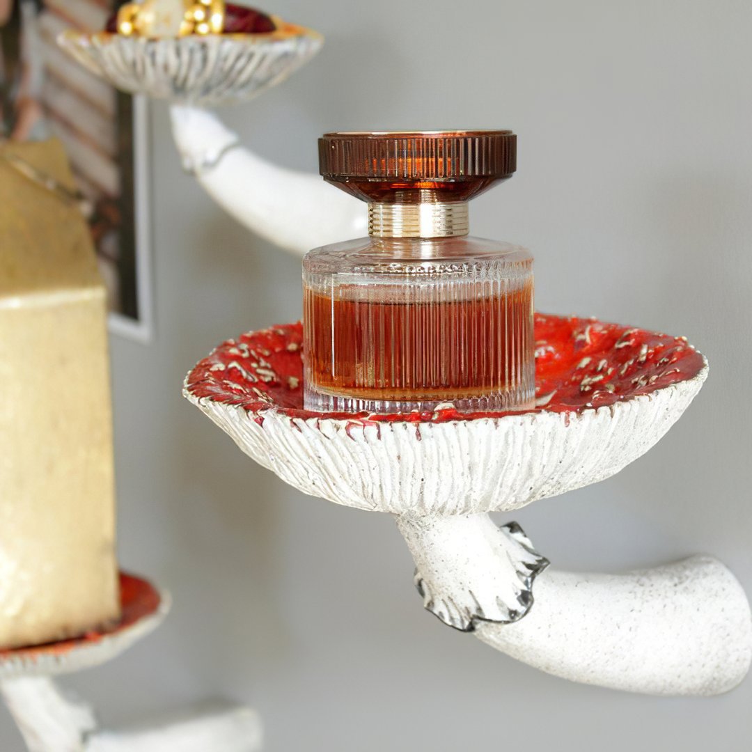 Mushroom Wall Shelf for Whimsical Display Storage