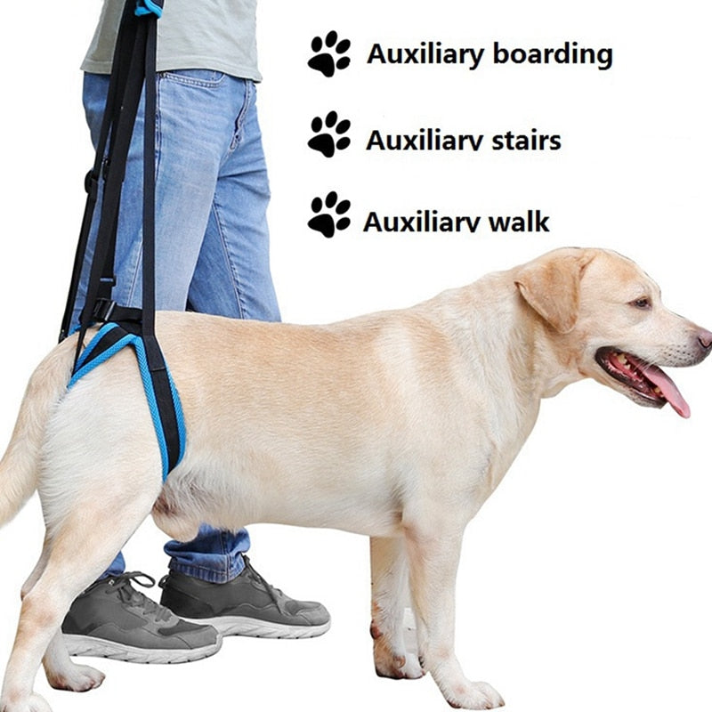 Adjustable Dog Lift Harness for Weak Hind Leg Mobility Aid