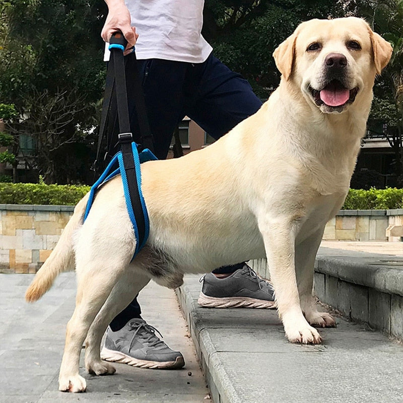 Adjustable Dog Lift Harness for Weak Hind Leg Mobility Aid