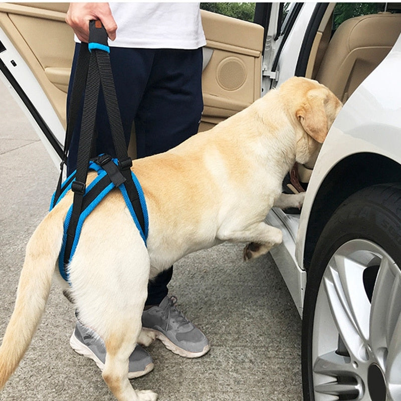 Adjustable Dog Lift Harness for Weak Hind Leg Mobility Aid