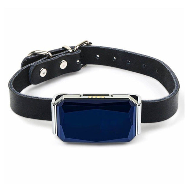 Pet GPS Tracker Collar for Real-Time Location Alerts