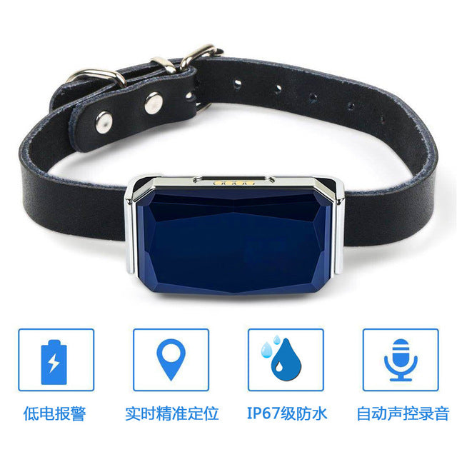 Pet GPS Tracker Collar for Real-Time Location Alerts