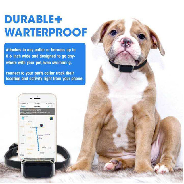 Pet GPS Tracker Collar for Real-Time Location Alerts