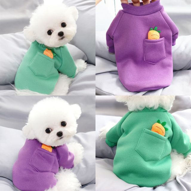 Carrot Dog Sweater for Small Dogs | Cozy Winter Wear