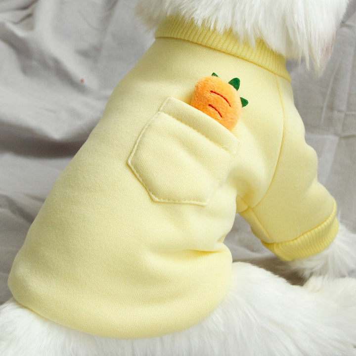 Carrot Dog Sweater for Small Dogs | Cozy Winter Wear
