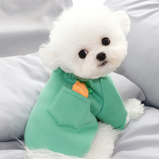 Carrot Dog Sweater for Small Dogs | Cozy Winter Wear