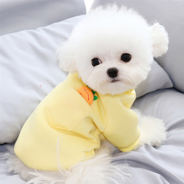 Carrot Dog Sweater for Small Dogs | Cozy Winter Wear