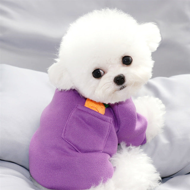 Carrot Dog Sweater for Small Dogs | Cozy Winter Wear