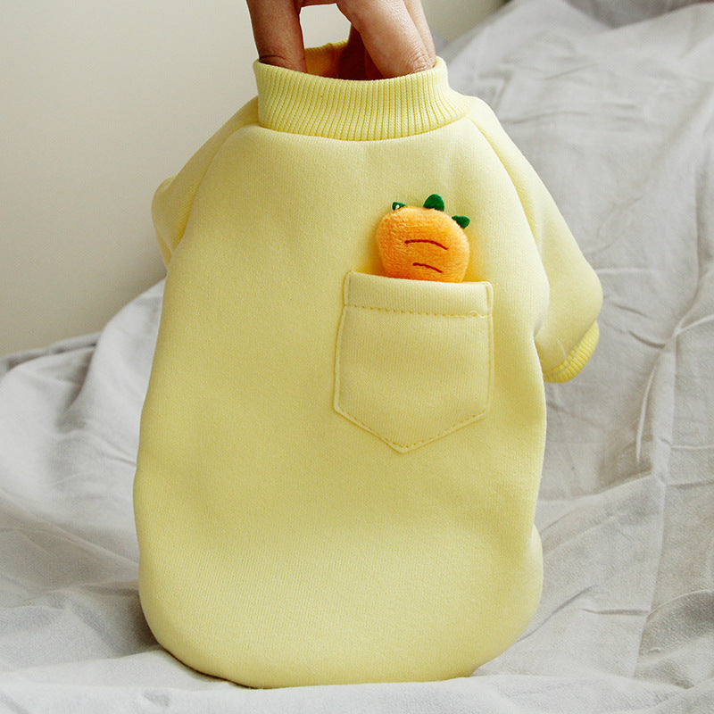 Carrot Dog Sweater for Small Dogs | Cozy Winter Wear