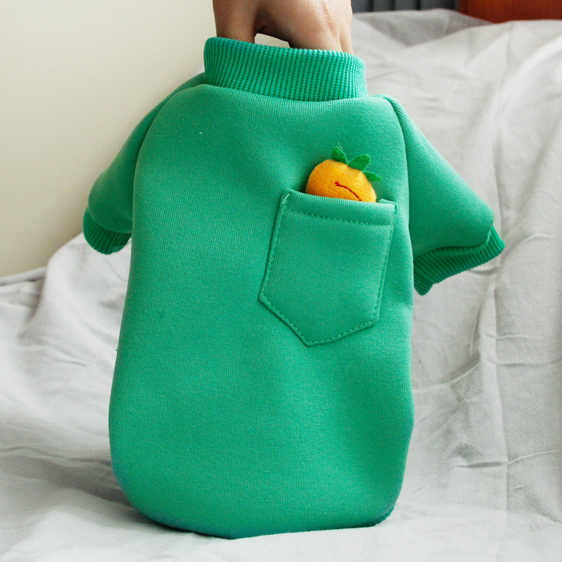 Carrot Dog Sweater for Small Dogs | Cozy Winter Wear