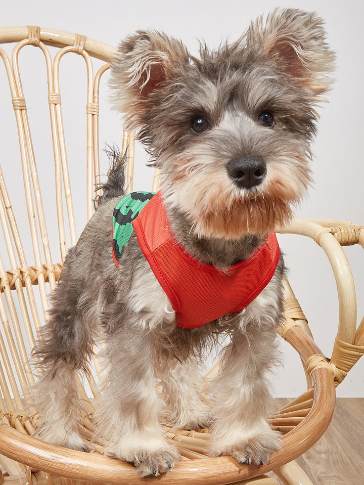 Small Pet Vest — Breathable Watermelon Print Style