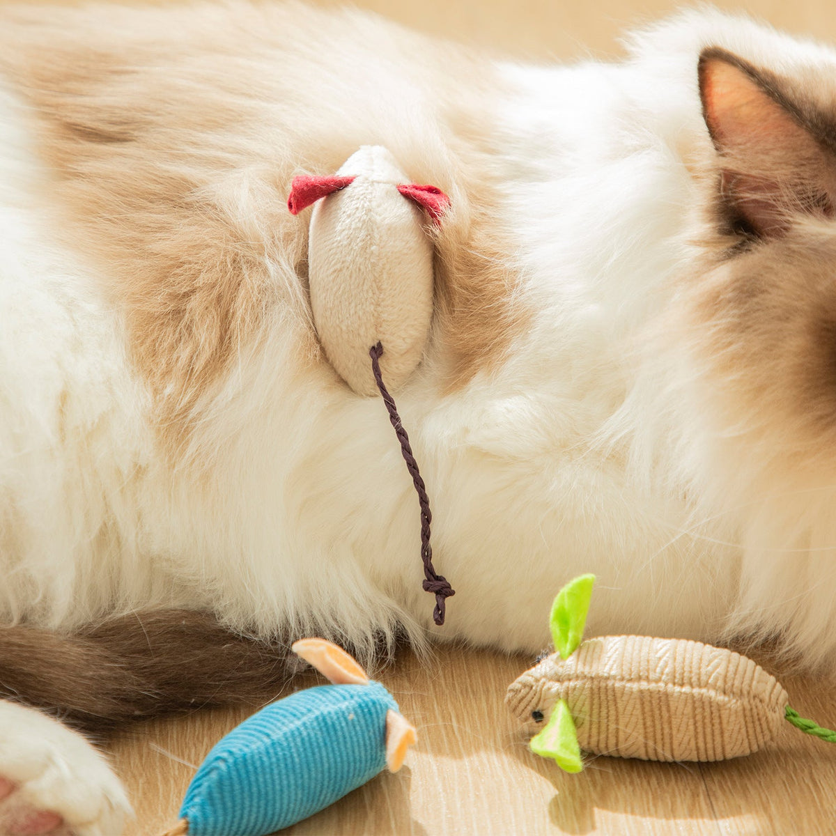 Cat Chewing Toy for Indoor Chase and Daily Enrichment