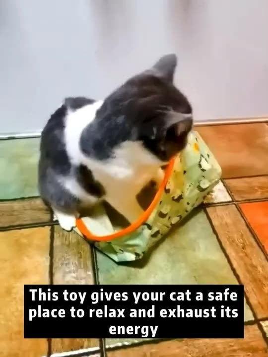 Cat Tunnel Toy for Indoor Exercise & Enrichment Play