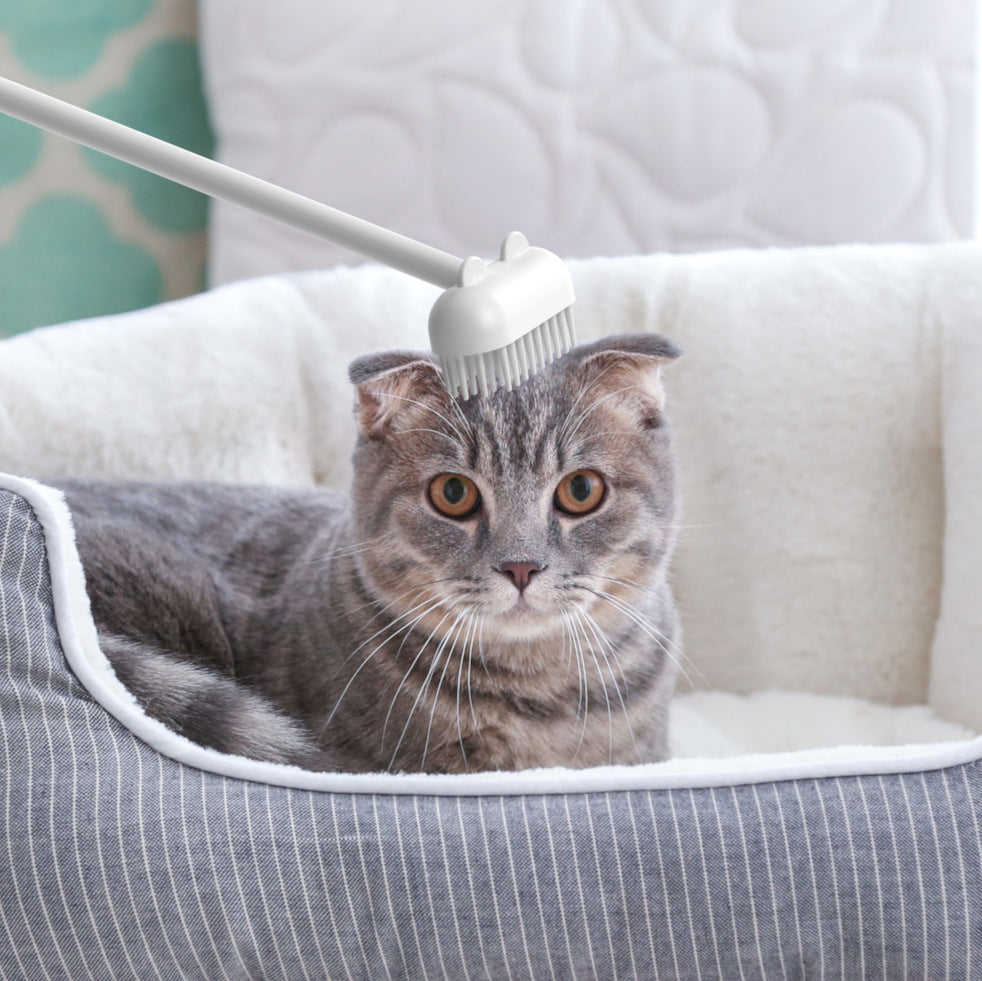 Cat Self-Grooming Brush for Loose Fur & Scratching