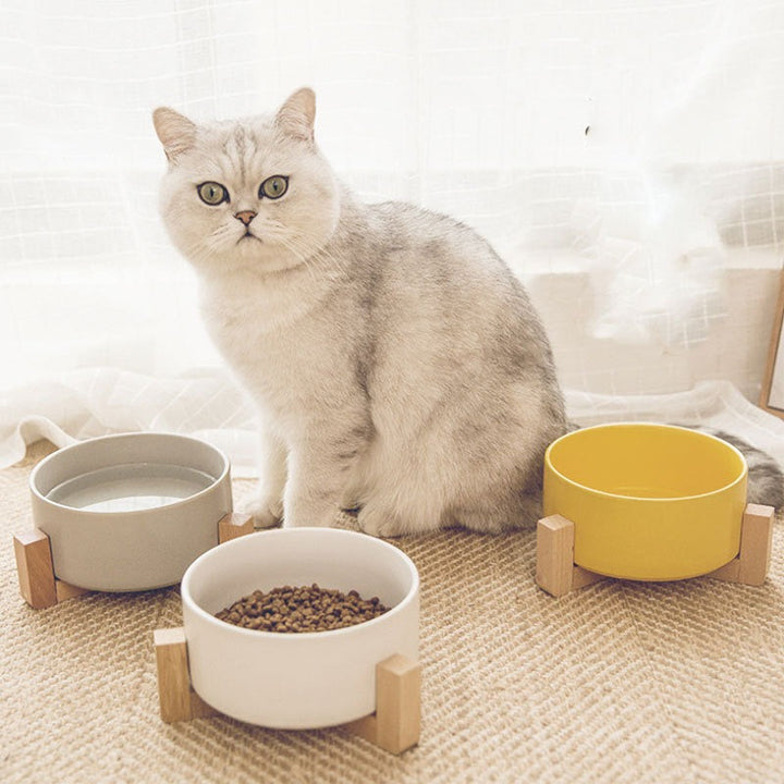 Raised Ceramic Cat Bowl With Stable Anti-Tip Feeding