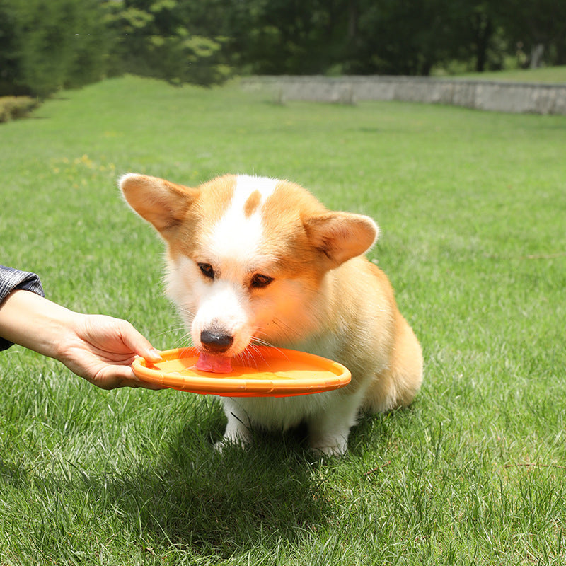 Dog Frisbee Floating Fetch Toy for Outdoor Exercise