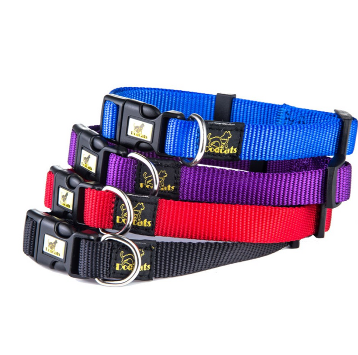 Dog Collar and Leash Set for Stylish Outdoor Walks