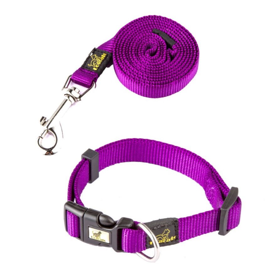 Dog Collar and Leash Set for Stylish Outdoor Walks