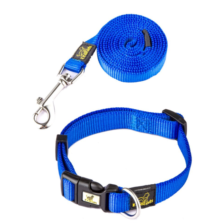 Dog Collar and Leash Set for Stylish Outdoor Walks