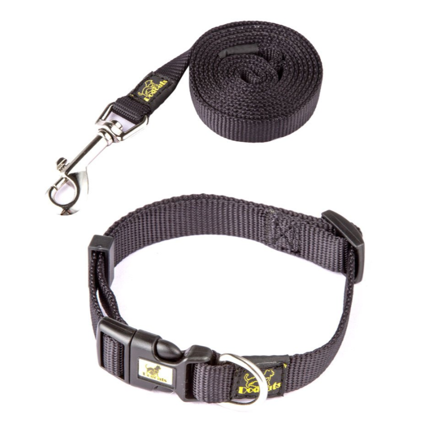 Dog Collar and Leash Set for Stylish Outdoor Walks