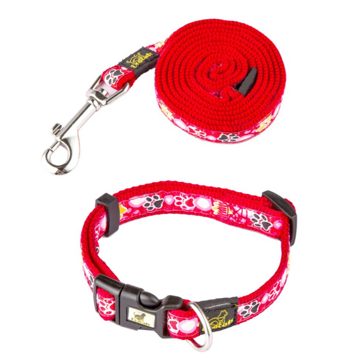 Dog Paw Print Nylon Leash and Collar Set