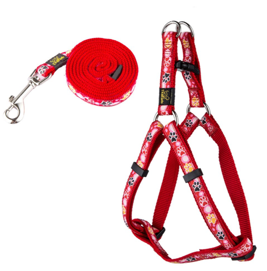 Dog Paw Print Nylon Leash and Collar Set