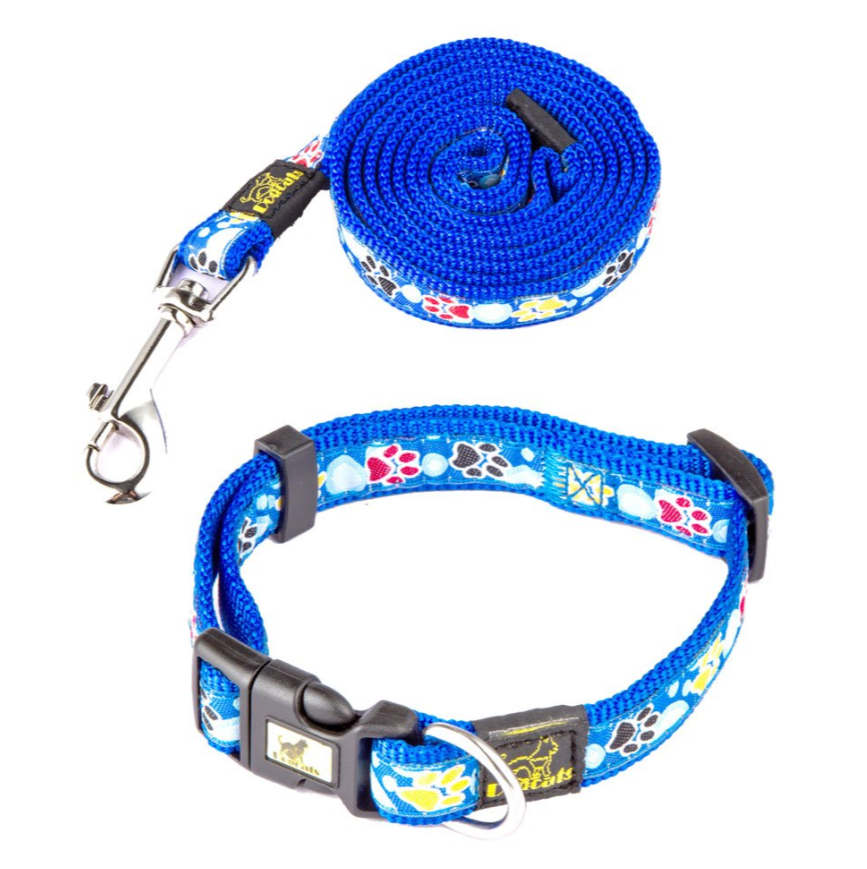 Dog Paw Print Nylon Leash and Collar Set