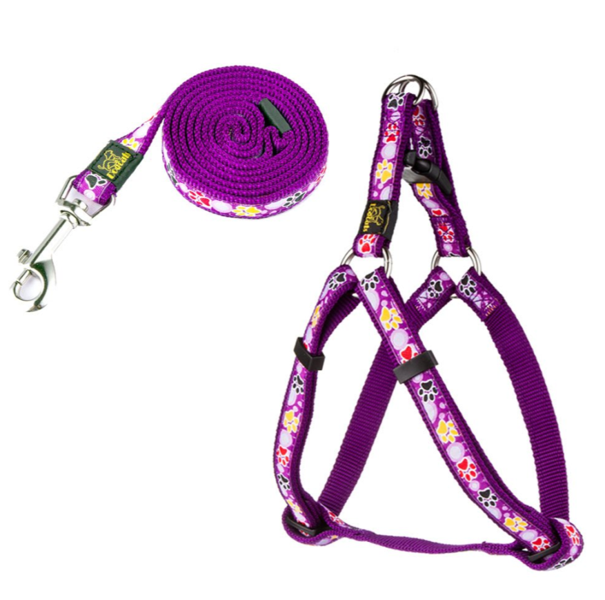 Dog Paw Print Nylon Leash and Collar Set