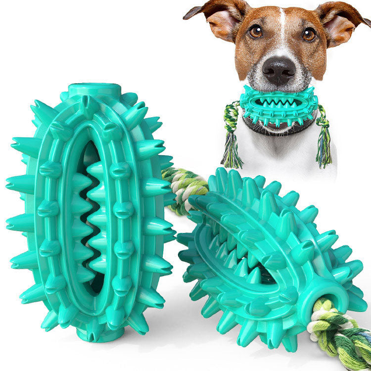 Cactus Dog Chew Toy for Dental Stimulation & Tug Play