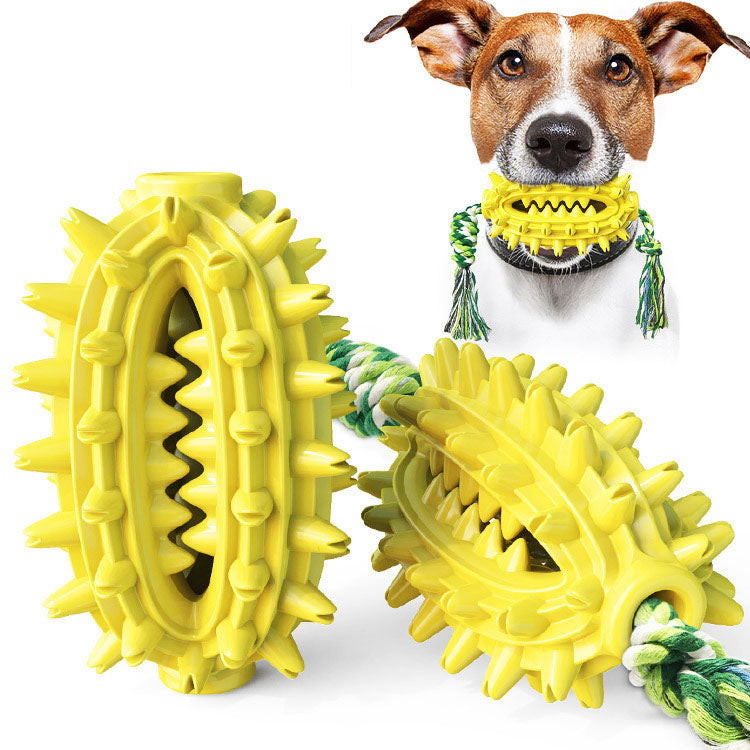 Cactus Dog Chew Toy for Dental Stimulation & Tug Play