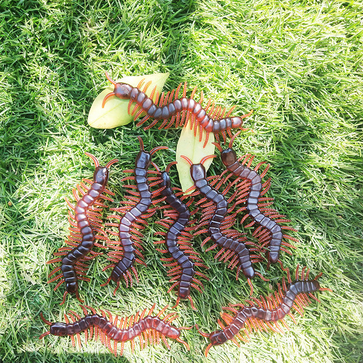 Centipede Prank Prop for Instant Spooky Party Fun Decor