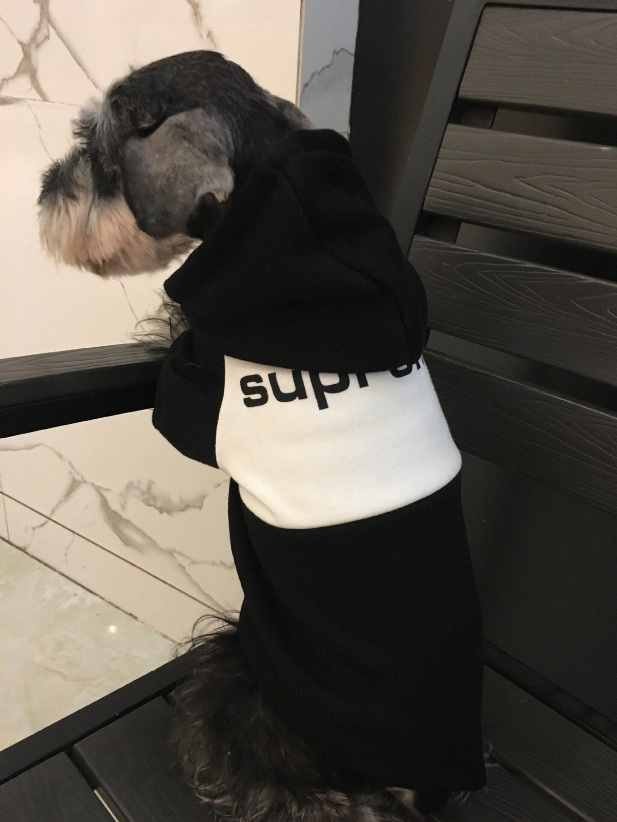 Small Dog Hoodie for Warm Autumn and Winter Walks, Cozy